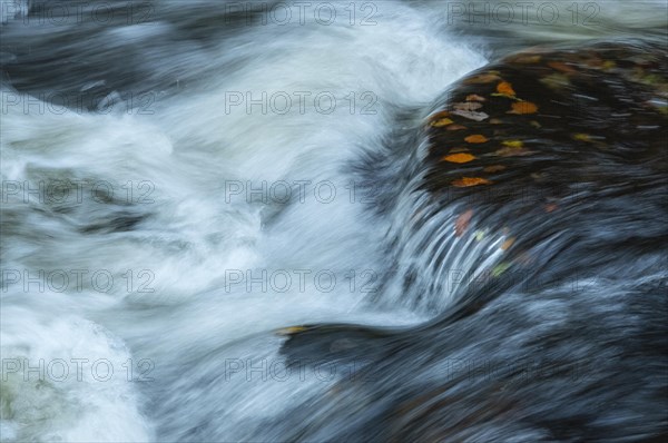 River Bode in the autumnal Harz Mountains