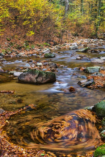 Autumnal Ilse Valley in the Harz Mountains