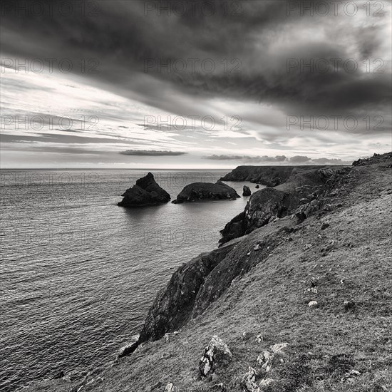 Coast at Kynance Cove