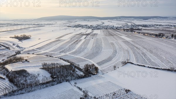 Winter landscape with vineyards and fields