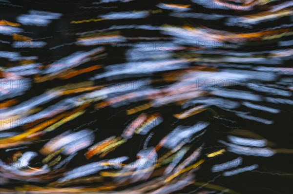 Leaves in the river Bode in the autumnal Harz