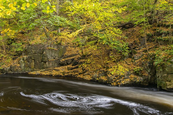 River Bode in the autumnal Harz Mountains