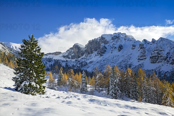 Mountain landscape in late autumn with snow