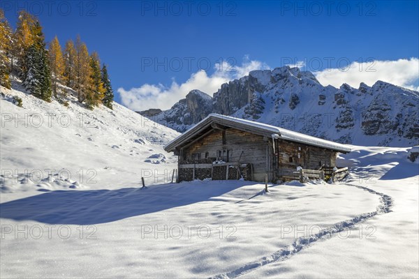 Kotalm Niederleger with snow in late autumn