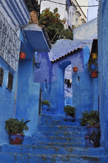 Blue Staircase in Blue City Chefchaouen