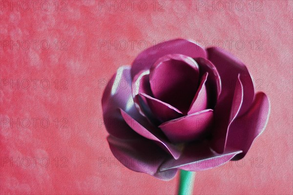 Plastic rose in front of red wall