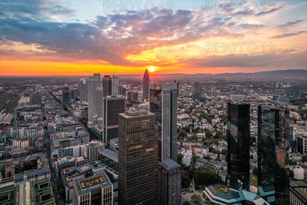 View over Frankfurt at sunset