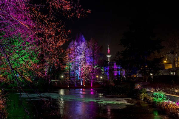 Winter lights in the palm garden Frankfurt