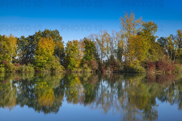 Fish pond on the river Lafnitz in autumn