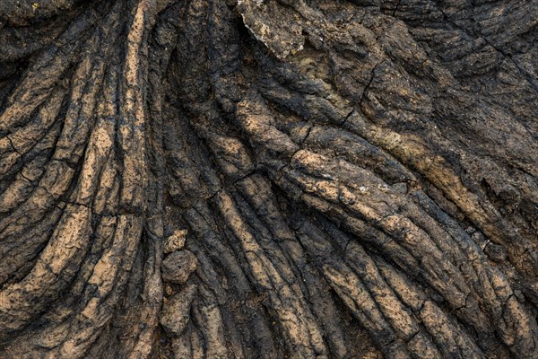 Pahoehoe lava