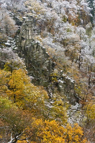 First snow on the autumnal slopes of the Bode Valley in the Harz Mountains