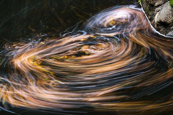 Leaves in the river Bode in the autumnal Harz