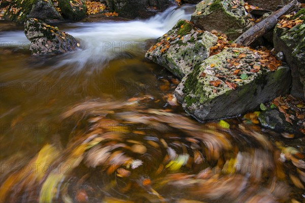 River Bode in the autumnal Harz Mountains