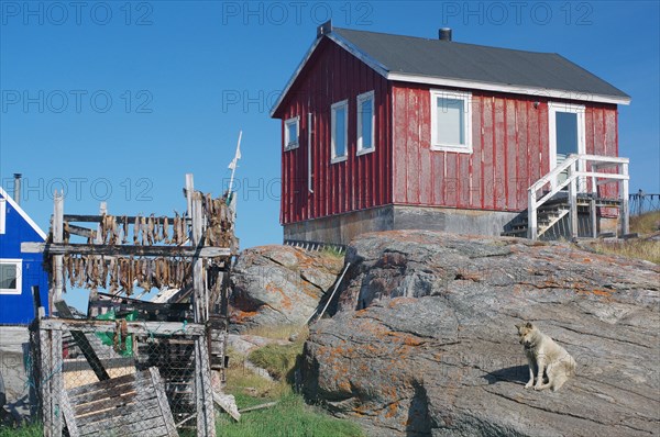 Racks of dried fish in front of simple wooden houses