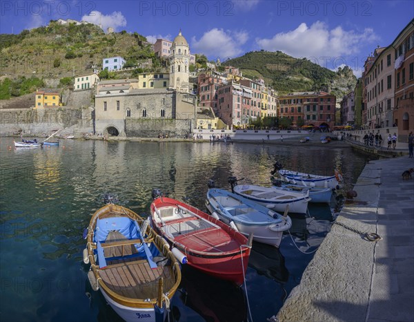 Fishing boats in the harbour