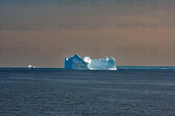 Icebergs in the evening light