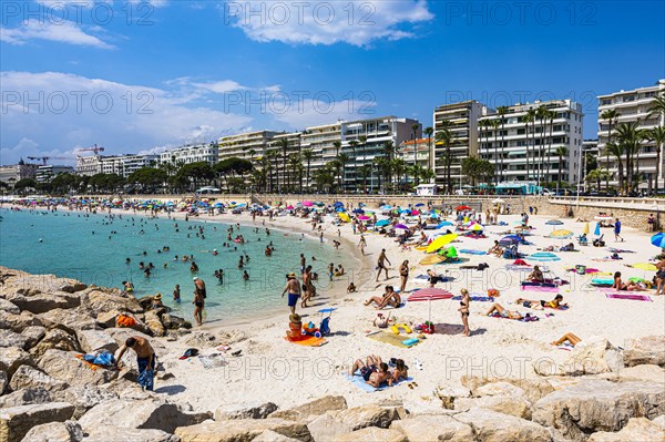 Public bathing beach on Boulevard de la Croisette