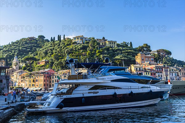 Luxury yachts anchored in Portofino harbour