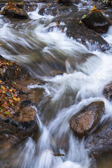 River Bode in the autumnal Harz Mountains