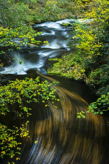 River Bode in the autumnal Harz Mountains