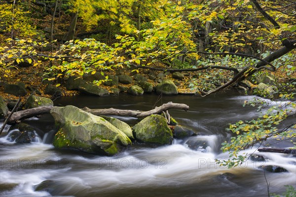 River Bode in the autumnal Harz Mountains