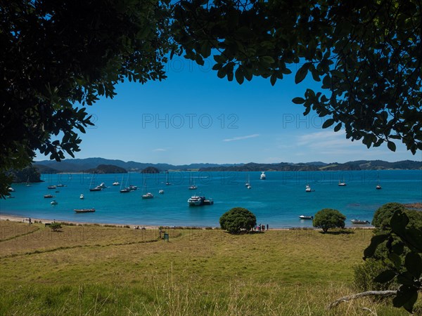 Boats anchored in the Bay of Islands