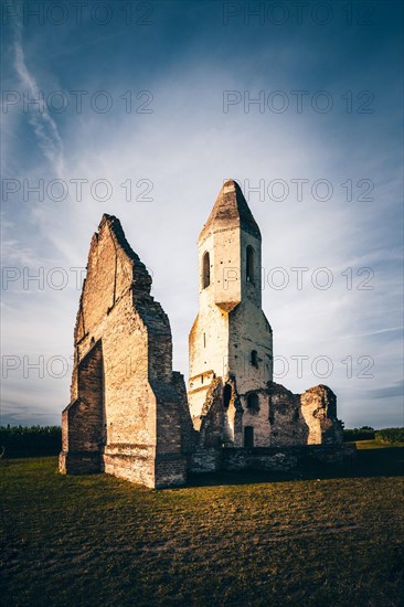 Ruin of a church in a cornfield. Old catholic church tower in the sunset