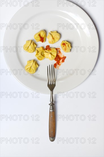 Pasta on plate with fork