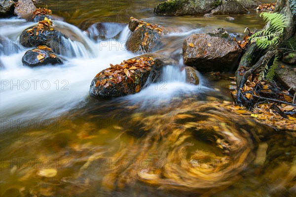 Autumnal Ilse Valley in the Harz Mountains