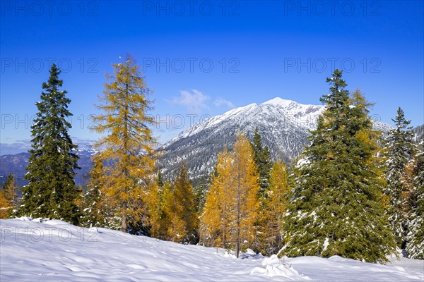 Mountain landscape in late autumn with snow