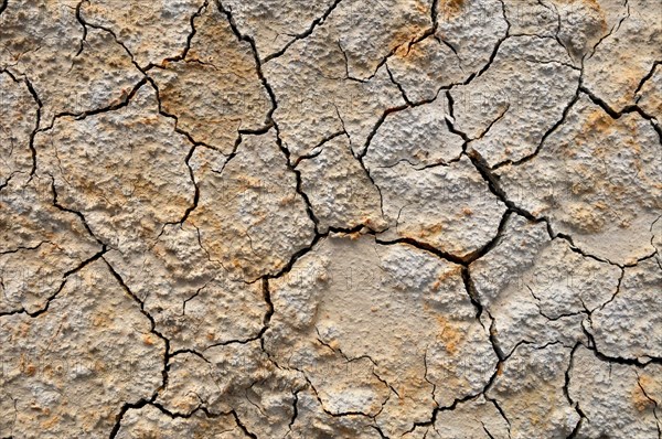 Dried out clay soil with cracks