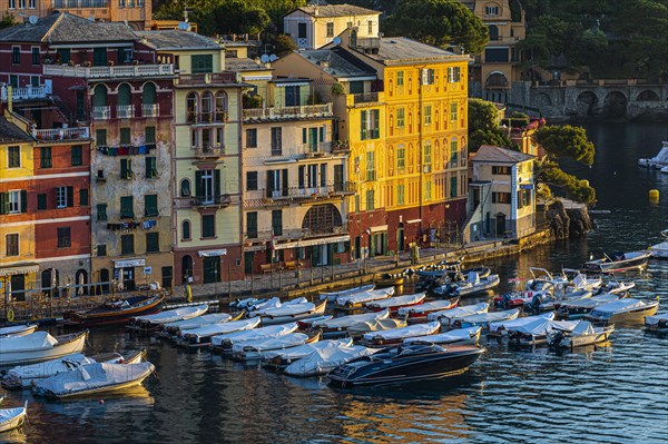 Boats anchor in Portofino harbour in front of pastel-coloured house facades