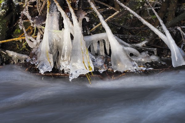 Icicles on a flowing stream