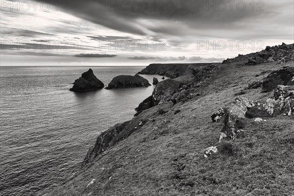 Coast at Kynance Cove