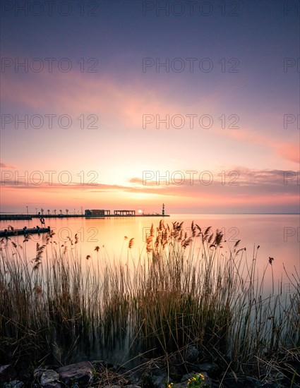 Shore at a lake