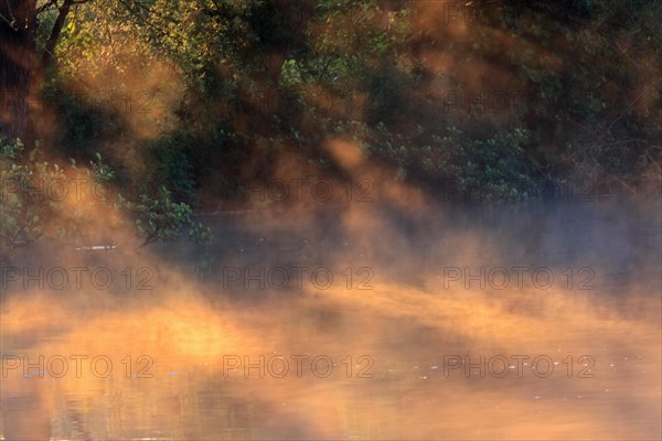 Sun shining through fog