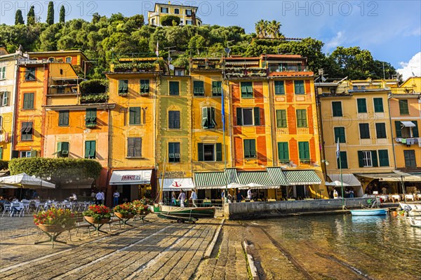 Pastel-coloured house facades at the harbour of Portofino