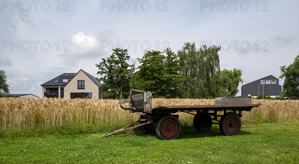 Cornfield and field next to a farm