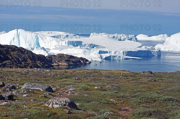 View of a bay with icebergs