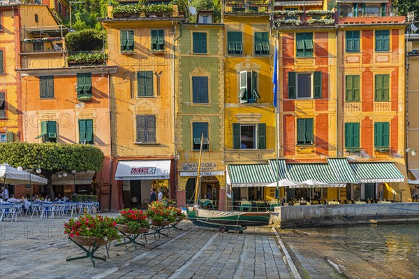 Pastel-coloured house facades of Portofino