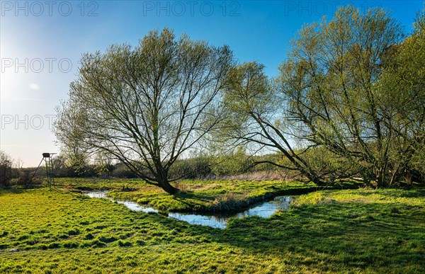 Landscape at the Tegeler Fliess in Luebars