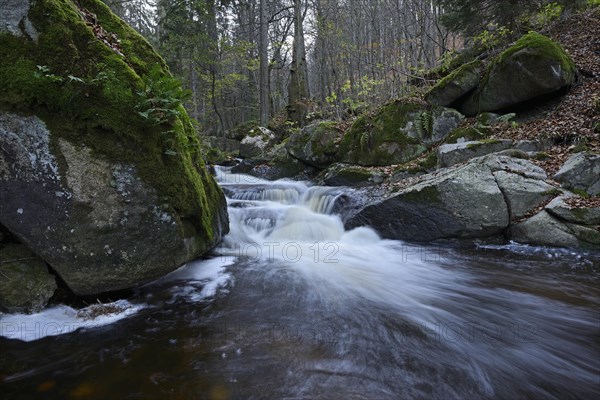 River in the Ilse Valley