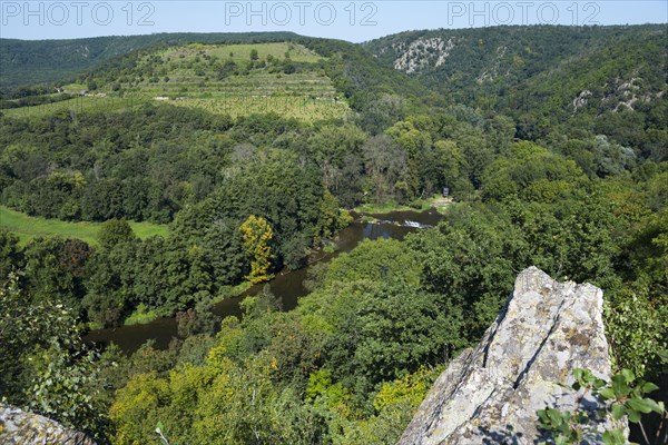 View of a loop of the Thaya and the Sobes vineyard at the Vyhlidka Devet mlynu viewpoint