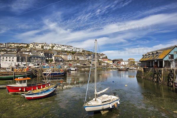 Village view Mevagissey