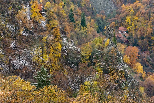 First snow on the autumnal slopes of the Bode Valley in the Harz Mountains