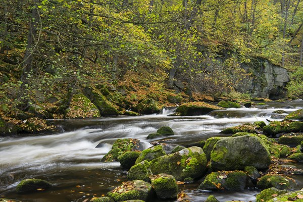 River Bode in the autumnal Harz Mountains