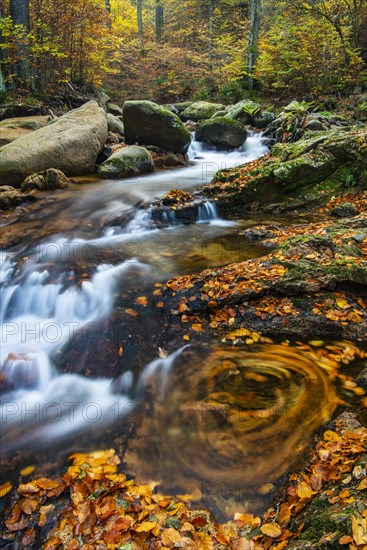 Autumnal Ilse Valley in the Harz Mountains