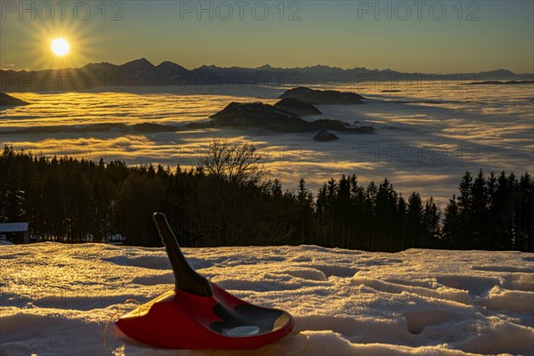 Toboggan bob in the snow