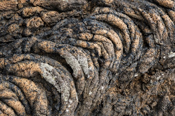 Pahoehoe lava