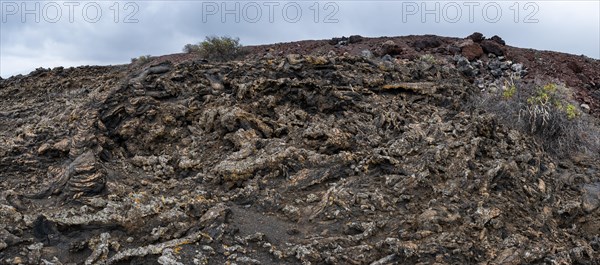 Typical volcanic landscape near La Restinga